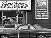 Duncan McLaren Photography