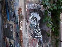 Duncan McLaren Photography