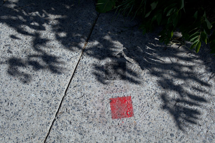 Duncan McLaren Photography